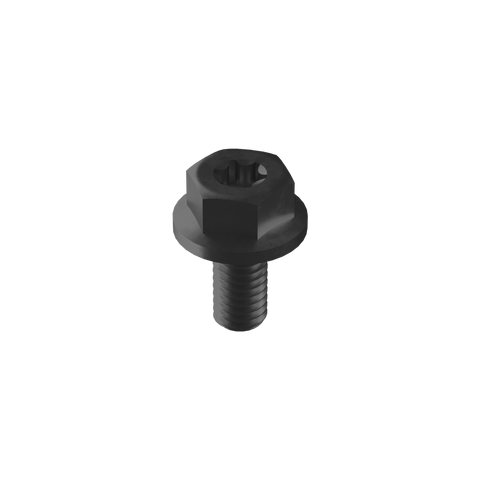Esdec Mounting screw, black, M6 x 12mm- Rubicon UK Shop

