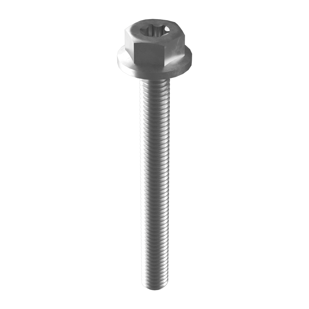 Esdec Mounting screw, black, M6 x 55mm- Rubicon UK Shop
